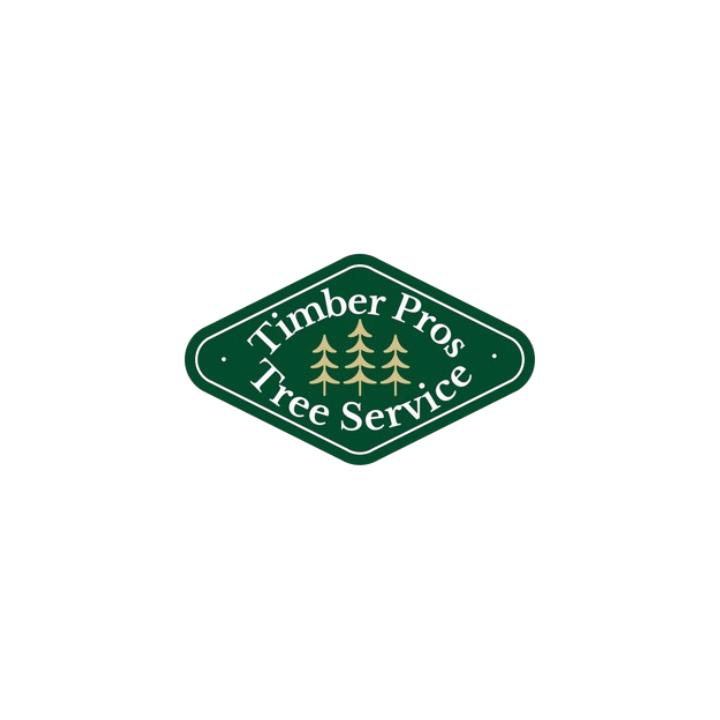 Timber logo